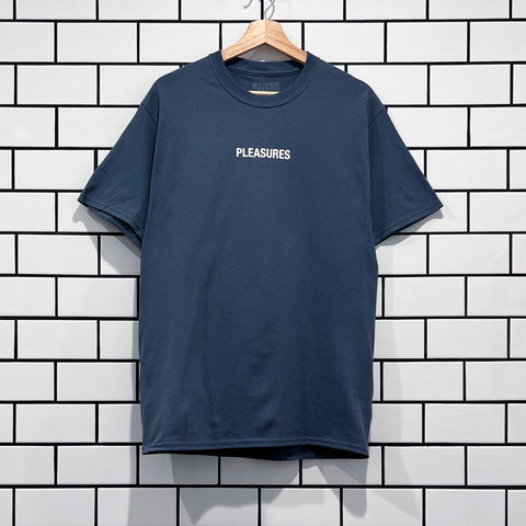 PLEASURES FLYING T-SHIRT SLATE